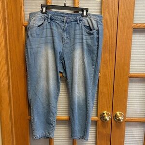 Lane Bryant Blue Women's Jeans